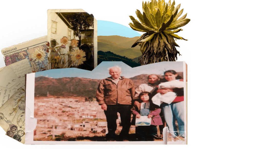 Collage introductorio